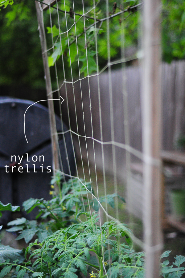 nylon-trellis-how-to-garden-raised-urban-gardening