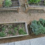 ab-how-to-garden-raised-beds-gardening-urban-gardening-17
