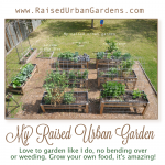 az-my-new-arial-view-a-how-to-garden-raised-beds-gardening-urban-gardening-11
