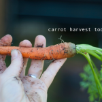 how-to-garden-raised-bed-gardening-table-garden-041113-16
