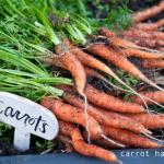 how-to-garden-raised-bed-gardening-table-garden-041113-32