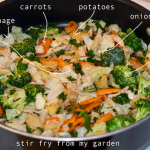 how-to-garden-raised-bed-gardening-table-garden-041113-33