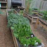 how-to-garden-raised-beds-gardening-urban-gardening-35