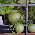 t  how to garden raised bed gardening raised urban garden-45